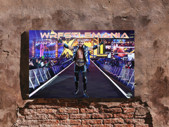 Logan Paul United States Champion Entrance Gloss Poster | Wrestlemania 40 |