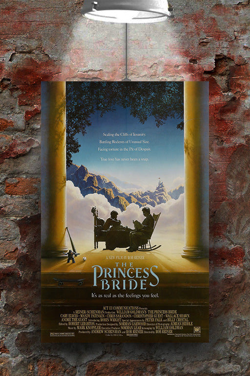 The Princess Bride Cary Elwes & Robin Wright Glossy Poster | Fantasy Movie Art Print | Retro Film Wall Decor | 80s Cult Classic Poster | Movie Lover Gift | High-Quality Cinematic Print