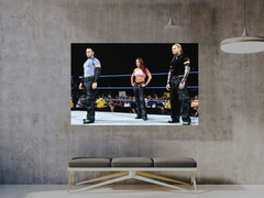 WWE Attitude Era Team Extreme The Hardy Boys and Lita Gloss Poster | Wrestling Legends | Vintage Men's Fashion | Hip Apparel Design | Retro Style Art Print | Grunge Wrestling Memories