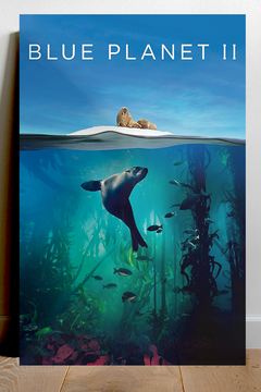 Blue Planet II David Attenborough Poster | Ocean Wildlife Nature Decor