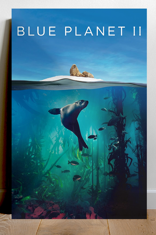 Blue Planet II David Attenborough Poster | Ocean Wildlife Nature Decor