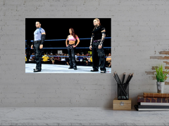 WWE Attitude Era Team Extreme The Hardy Boys and Lita Gloss Poster | Wrestling Legends | Vintage Men's Fashion | Hip Apparel Design | Retro Style Art Print | Grunge Wrestling Memories