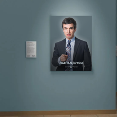 Nathan for You Canvas Print - Nathan Fielder TV Show | Comedy Central | Fan Art Home Decor