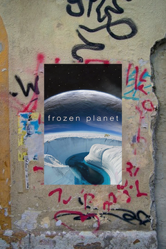 Frozen Planet Featuring David Attenborough | Gloss Poster | TV Show Design | Nature Documentaries | Arctic Wildlife | Eco-friendly | Home Decor | Gift Idea