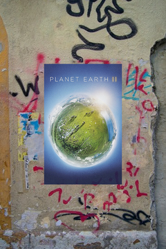 Planet Earth Premium Gloss Poster | David Attenborough | Planet Earth Design | TV Show Poster