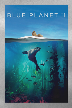 Blue Planet II David Attenborough Poster | Ocean Wildlife Nature Decor