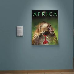 Africa Canvas Print | TV Show Africa Design | Lead Actor's Name | Wall Art Decor | Trendy Home Decor | Unique TV Show Gift