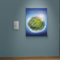 Planet Earth Canvas Print | Stunning Design Featuring Sir David Attenborough | TV Show Nature Art | Wildlife Decor for Home | Unique Gift Idea