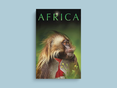Africa Canvas Print | TV Show Africa Design | Lead Actor's Name | Wall Art Decor | Trendy Home Decor | Unique TV Show Gift