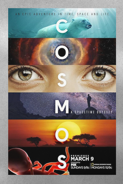 Cosmos: Neil deGrasse Tyson Gloss Poster | TV Show Cosmos Design | Astrophysics Wall Art | Science Lover Gift