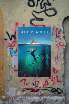 Blue Planet II David Attenborough Poster | Ocean Wildlife Nature Decor