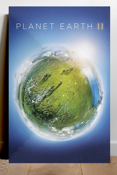 Planet Earth Premium Gloss Poster | David Attenborough | Planet Earth Design | TV Show Poster