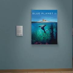 Blue Planet II Canvas Print - Stunning Underwater Design | Oceanic Photography | David Attenborough Merchandise