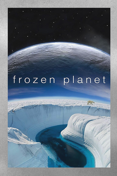 Frozen Planet Featuring David Attenborough | Gloss Poster | TV Show Design | Nature Documentaries | Arctic Wildlife | Eco-friendly | Home Decor | Gift Idea