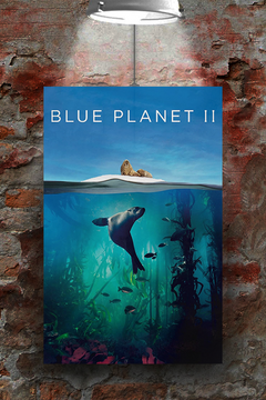 Blue Planet II David Attenborough Poster | Ocean Wildlife Nature Decor