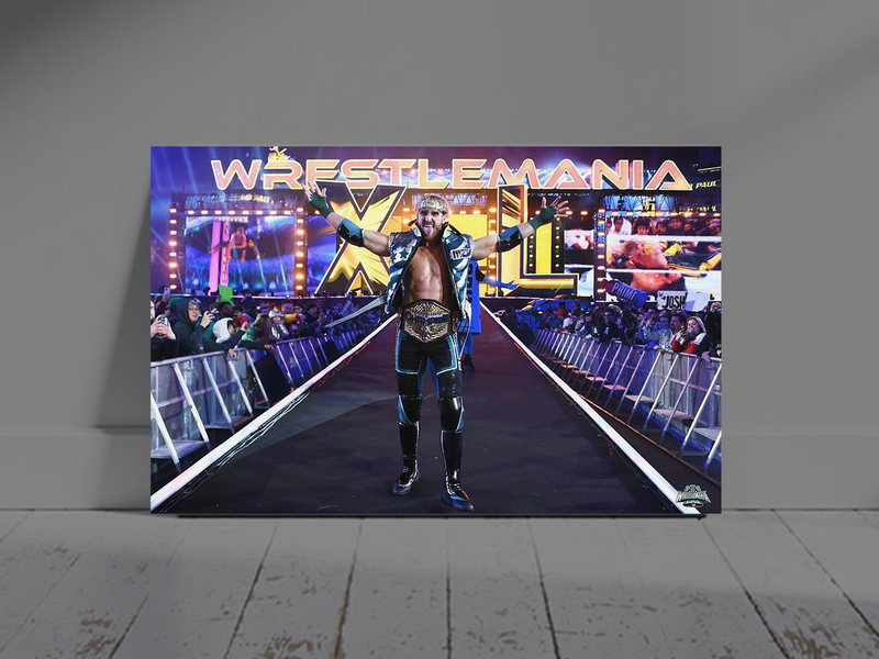 Logan Paul United States Champion Entrance Gloss Poster | Wrestlemania 40 |