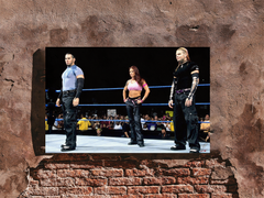 WWE Attitude Era Team Extreme The Hardy Boys and Lita Gloss Poster | Wrestling Legends | Vintage Men's Fashion | Hip Apparel Design | Retro Style Art Print | Grunge Wrestling Memories