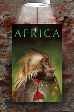 Africa | TV Show | Premium Gloss Poster | Exclusive Design | Etsy | Shopify | Lead Actor Name | African | Unique | Stylish | Fan Merchandise | Trendy | Must-Have | Home Decor | Wall Art | Limited Edition