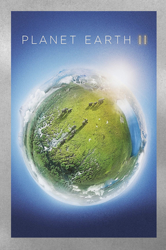 Planet Earth Premium Gloss Poster | David Attenborough | Planet Earth Design | TV Show Poster