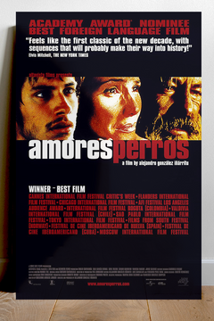 Amores perros Gael García Bernal Premium Gloss Poster | Film Memorabilia Art | Mexican Cinema Decor | Alejandro González Iñárritu Movie Print